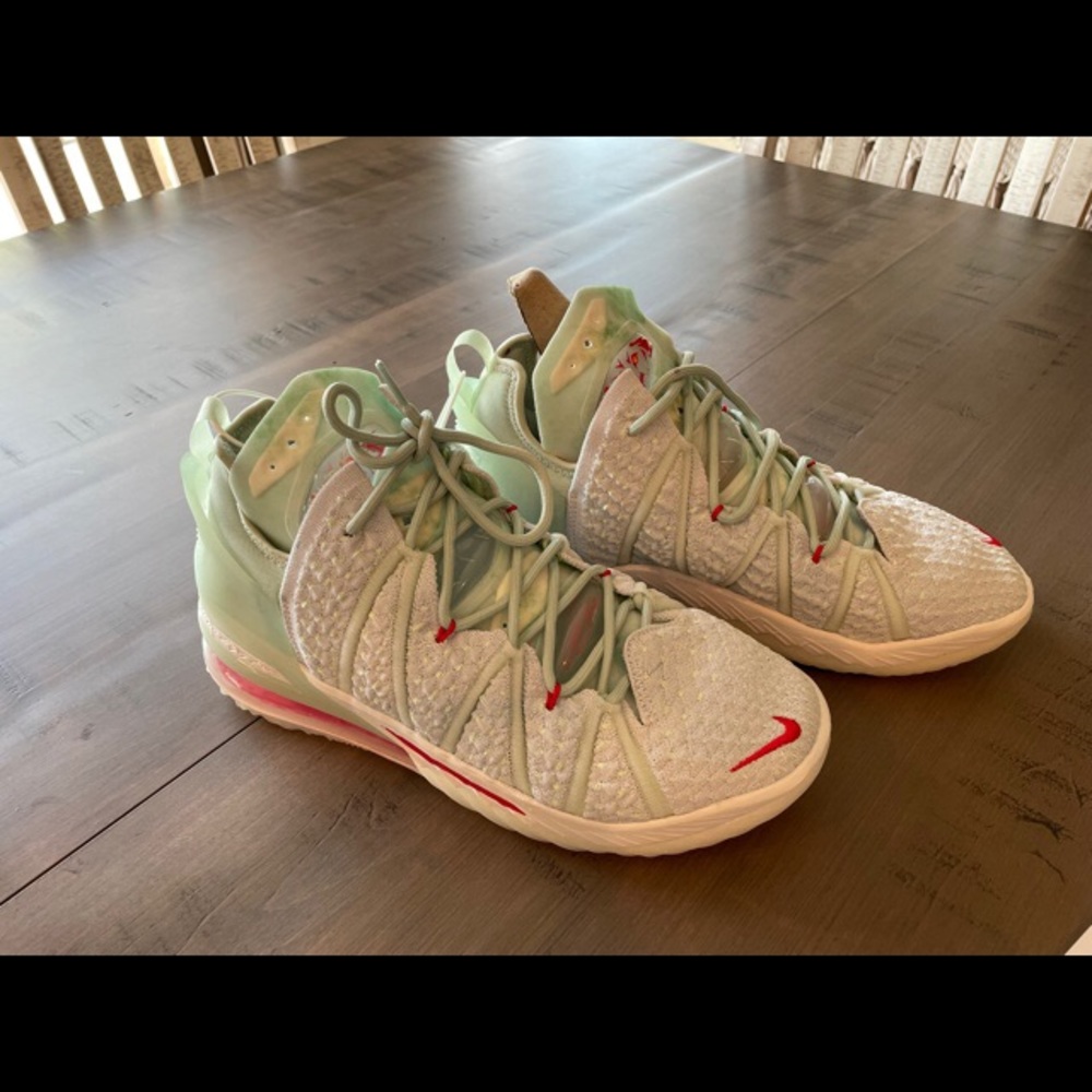 Nike Lebron 18
